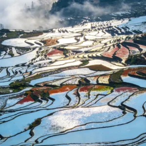 雲南愛村梯田清晨景觀，層層梯田沿山坡蜿蜒延展，水面在陽光照射下閃耀銀色與金色光芒，田埂曲線交織成壯麗圖案，遠方雲霧與山林環繞，呈現愛村梯田壯觀而細緻的自然農耕景色。