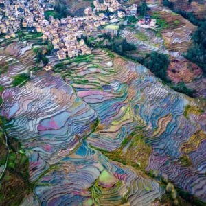 雲南多依樹梯田空拍景觀，層層梯田沿山坡延展，水面映照天空形成繽紛色彩，梯田曲線環繞村落與山林，呈現壯麗而細緻的地形紋理，展現多依樹梯田獨特的農耕文化與自然景觀