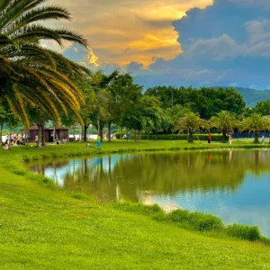位於 弥勒湖泉生态园 的湖畔公園景色。草地與湖水相連，棕櫚樹與綠樹環繞湖岸，天空晚霞與雲層倒映在湖面上，遊客在樹蔭下休憩散步，呈現寧靜自然的生態公園景觀。