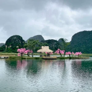 電視劇取景地湖畔景觀 三生三世十里桃花 拍攝場景之一。湖面中央的小島上建有茅草亭與木棧平台，周圍粉色桃花樹盛開，湖水倒映花樹與亭子，背景是喀斯特山峰與雲層。