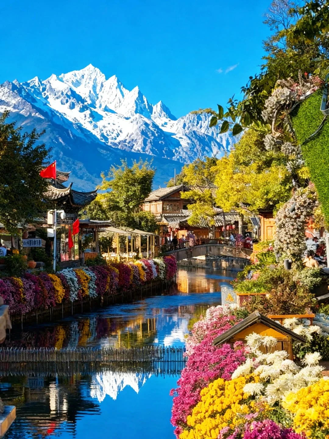 Lijiang Autumn Scenery 5 麗江古城秋季花海與玉龍雪山景觀。