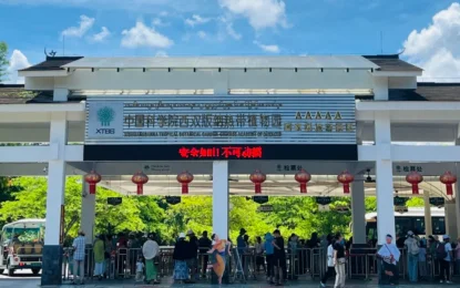 走訪勐泐植物園,邂逅夢幻雨林奇花異草