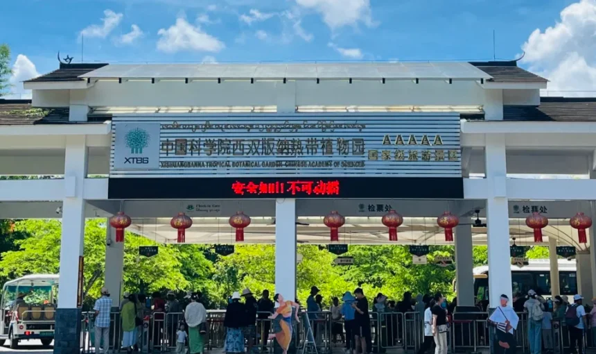中科院西雙版納熱帶植物園，5A 級國家級景區，中國規模最大、物種最豐富的熱帶植物園，是西雙版納雨林探險必訪的植物王國。