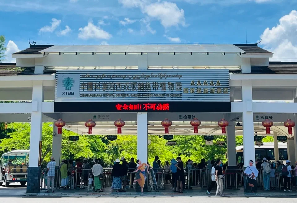 中科院西雙版納熱帶植物園，5A 級國家級景區，中國規模最大、物種最豐富的熱帶植物園，是西雙版納雨林探險必訪的植物王國。