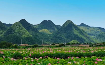 文山普者黑：藏在雲南山水間的秘境湖泊，走進如詩如畫的喀斯特仙境