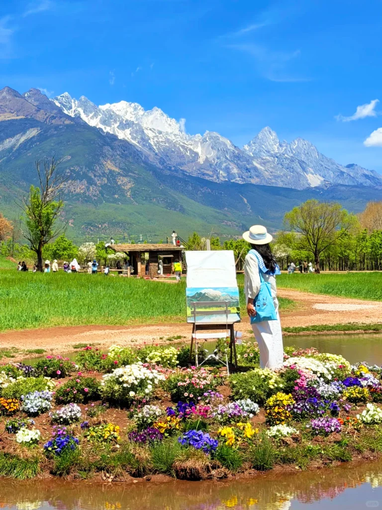 麗江春季景色,玉龍雪山下綠色田野與花海,遊客寫生拍照的自然風光。
