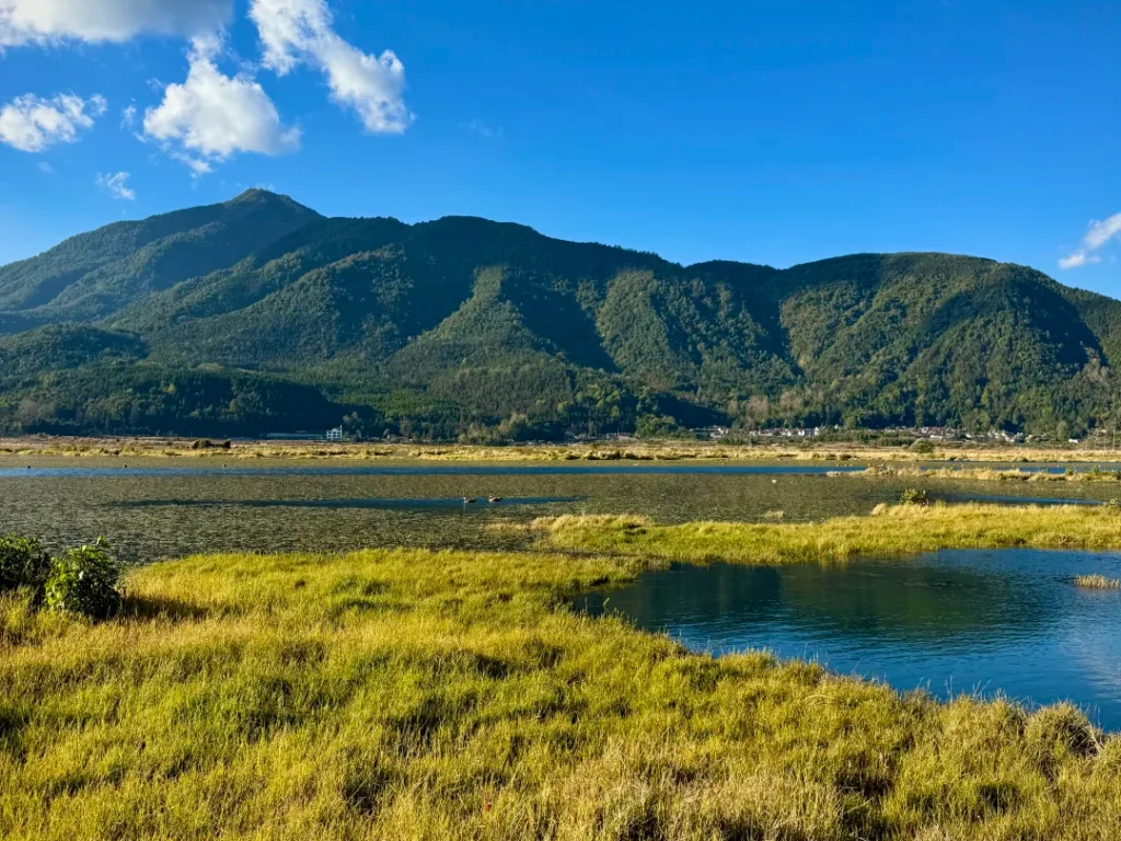 Tengchong Beihai Wetland Park 3