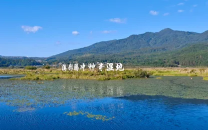 騰衝北海濕地公園:浮島之上,赴一場滇西濕地之約
