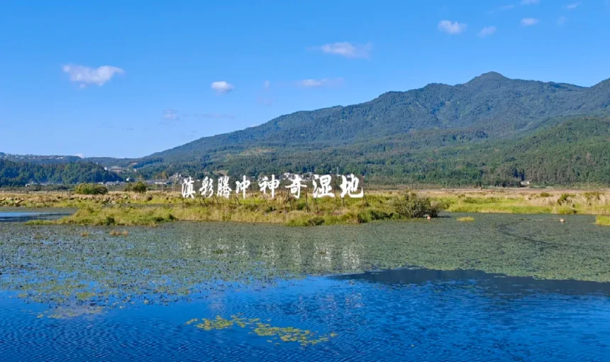 騰衝北海濕地公園,被稱為「神奇濕地」,擁有獨特的漂浮草排生態,是火山堰塞湖形成的高原濕地秘境。