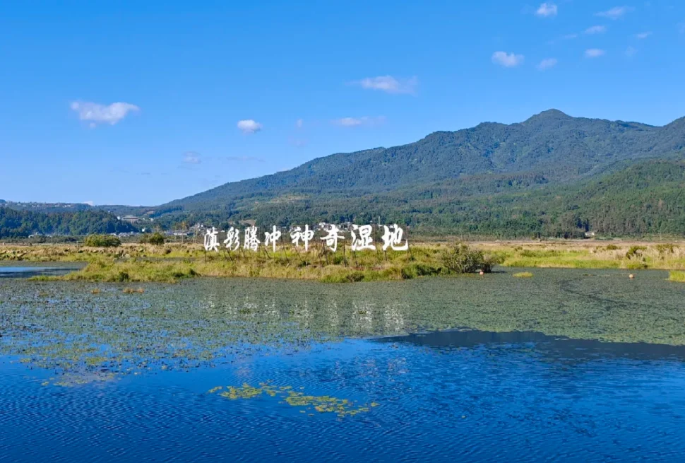 騰衝北海濕地公園，被稱為「神奇濕地」，擁有獨特的漂浮草排生態，是火山堰塞湖形成的高原濕地秘境。