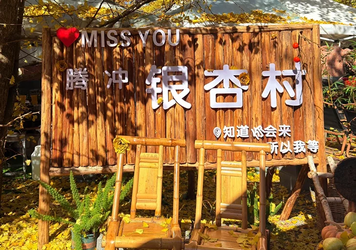 寫有騰衝銀杏村的木製招牌被金黃銀杏葉環繞,搭配木椅與秋日陽光,呈現溫暖樸實的景象。