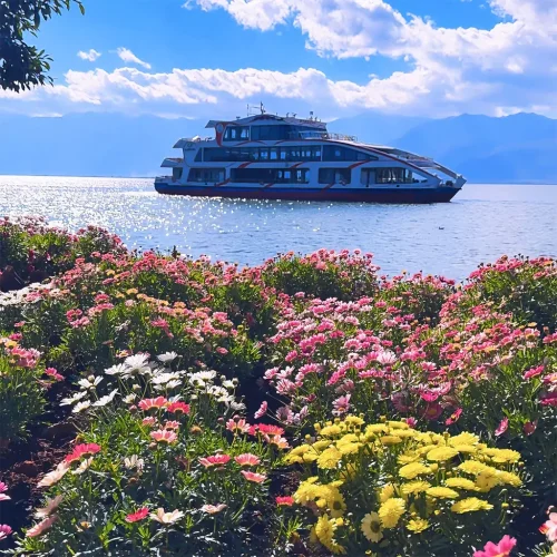 在 大理花語牧場,繽紛花海沿湖綻放,遠處洱海上遊船緩行,背後群山與藍天相映成景
