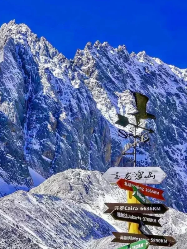 雲南麗江著名的 玉龍雪山 壯麗雪峰景觀。高聳陡峭的雪山覆蓋著白雪,在湛藍天空下顯得格外壯觀。前景是一個寫著「玉龍雪山」的方向指示牌與風向標,指向世界多個城市距離,為畫面增添旅遊地標特色,展現出這座著名雪山的雄偉與魅力。