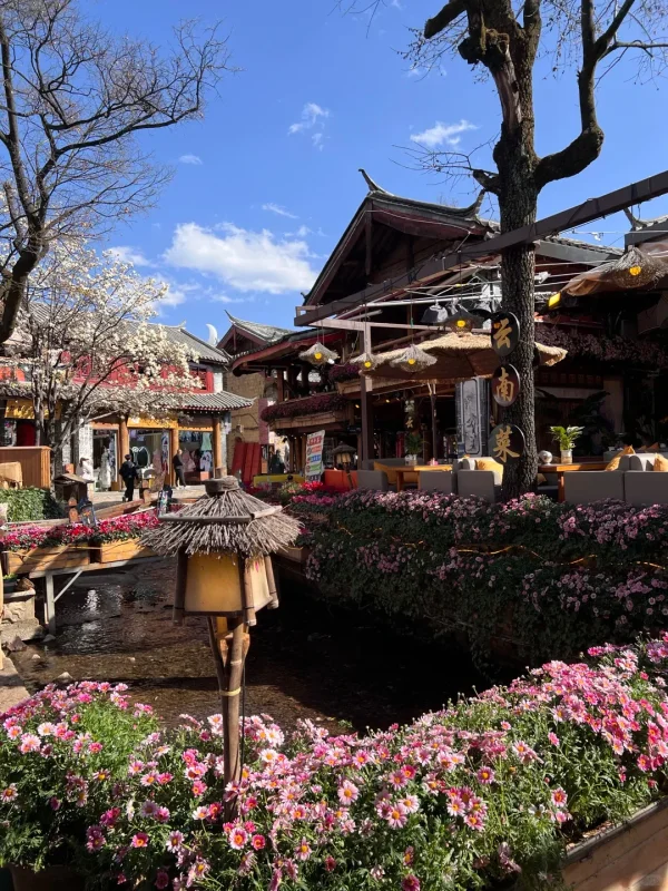 束河古鎮的溪邊餐廳街景,花團錦簇、溪水潺潺,藍天白雲下,是麗江最療癒的慢生活畫面。