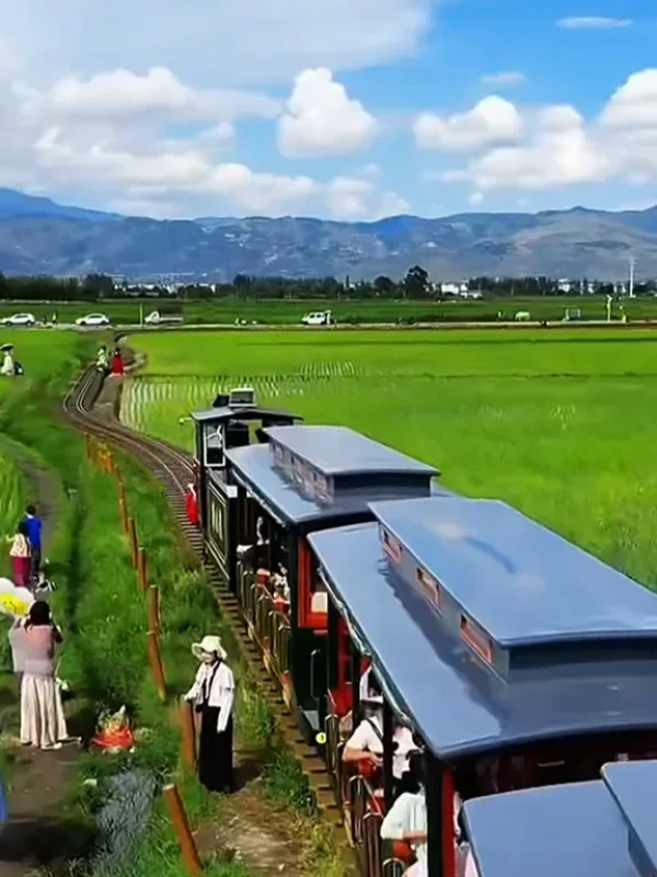 大理喜洲古鎮田園小火車穿行於稻田間,遠山與鄉村景色交織。