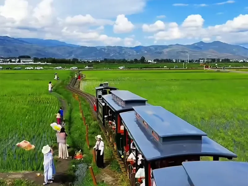 大理喜洲古鎮田園小火車穿行於稻田間,遠山與鄉村景色交織。