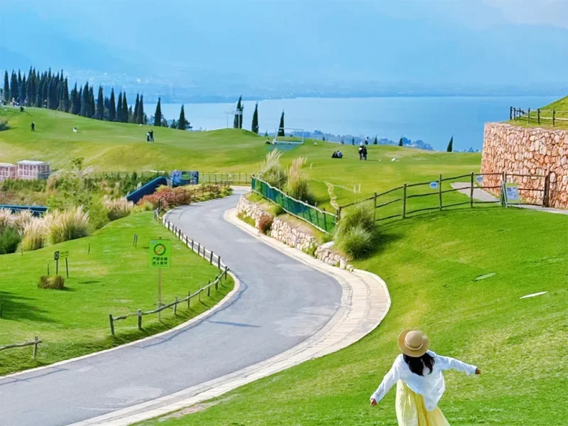 大理慢生活景觀,綠地與蜿蜒道路延伸至洱海,氛圍寧靜悠閒。